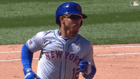 Home Run Celebration GIF by New York Mets