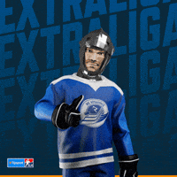 Hockey Hokej GIF by Tipsport extraliga