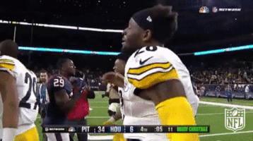 Houston Texans Football GIF by NFL