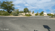 cruising classiccar GIF by Off The Jacks