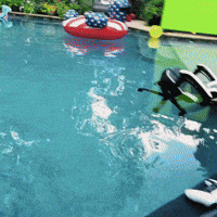 Work From Home Swimming GIF
