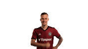 Acsparta Happy Dance Sticker by AC Sparta Praha
