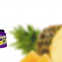 syntraxbrasiloficial  GIF