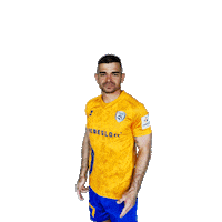 Football Goal Sticker by Fortuna Liga