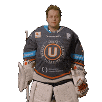 Uhk Sticker by UNIted HK