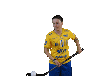 Floorball Sticker by Český florbal