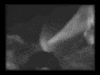 charlespieper film black and white ghost cinema GIF