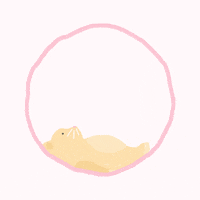 Loading No GIF