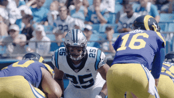 Nfl GIF by Carolina Panthers