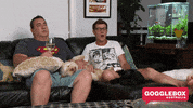 gogglebox australia lol GIF