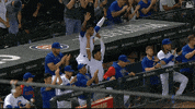 Major League Baseball Sport GIF by MLB