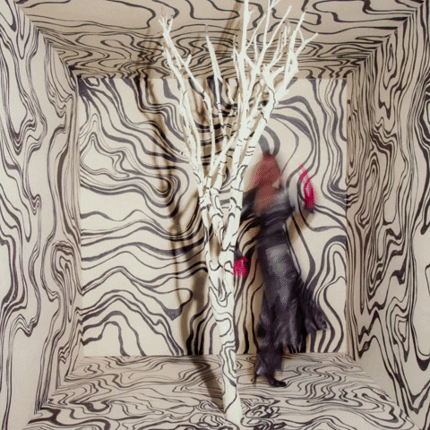 GIF by Verve Label Group