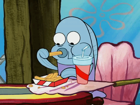 season 5 new digs GIF by SpongeBob SquarePants