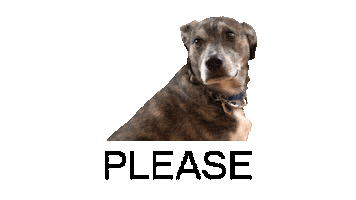 stemcellrobotics dog robot steam please Sticker