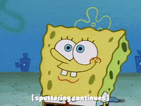 season 1 GIF by SpongeBob SquarePants