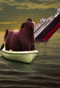 Honse GIF