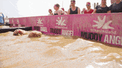 MuddyAngelRun hindernislauf mudrun muddyangelrun schlamm GIF