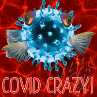 Lockdown Goldfish GIF by NACHTSCHIMMEN Music-Theatre-Language NIGHTSHADES