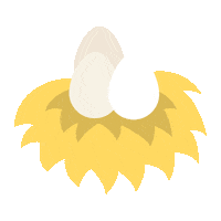 Chicken Eggs Sticker by husare