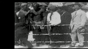 Jack Johnson Sport GIF