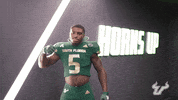 College Football GIF by USF Athletics