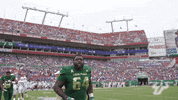 College Football GIF by USF Athletics