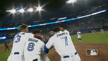 Major League Baseball Sport GIF by MLB