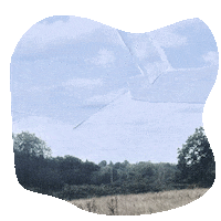 Text Typography Sticker by The Orchard