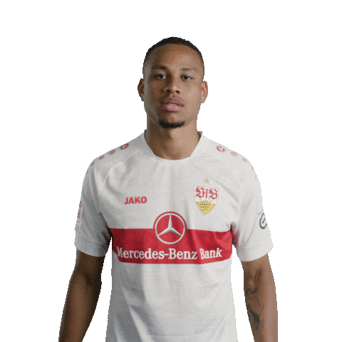 Quiet Please Football Sticker by VfB Stuttgart