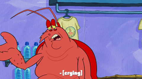 season 9 GIF by SpongeBob SquarePants