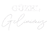 Just Married Wedding Sticker