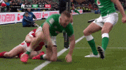 Celebrate Rugby Union GIF by Guinness Six Nations