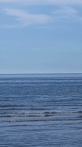 Simongip giphyupload GIF