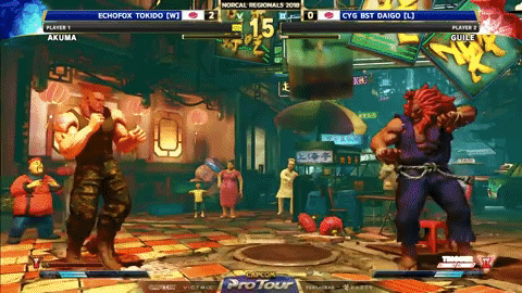street fighter guile GIF