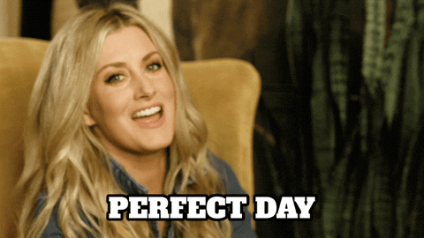 Celebrity gif. An excited Stephanie Quayle raises her hands and says, “perfect day.”