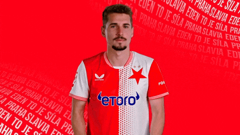 Football Hide GIF by SK Slavia Praha