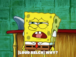 season 6 dear vikings GIF by SpongeBob SquarePants