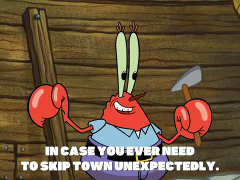 season 8 GIF by SpongeBob SquarePants