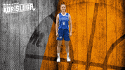 Basket_fi basketball hoops koripallo korisliiga GIF