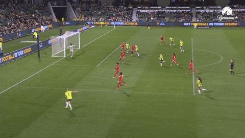 Goal GIF by Football Australia