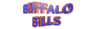 Buffalo Bills Football Sticker by GIPHY Text
