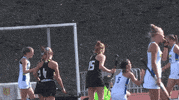 ncaa sports running GIF by Delaware Blue Hens