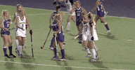 ncaa sports running GIF by Delaware Blue Hens