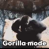 Gorilla GIF