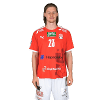 Sport Handball Sticker by HamburgHandball