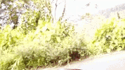 ralph irl GIF by MANGOTEETH