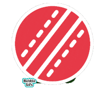 Indian Premier League Dc Sticker by Bobble