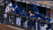 Happy Ny Mets GIF by New York Mets