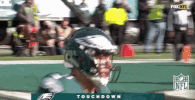 philadelphia eagles football GIF by NFL
