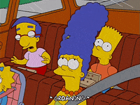 Episode 15 Frog GIF by The Simpsons
